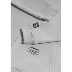 Sweat-Shirt capuche garçon TANBO gris Gus en coton