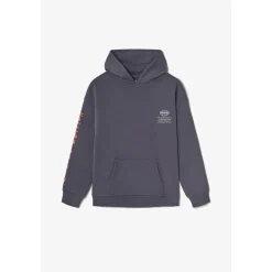 Sweat-Shirt capuche garçon NOEBO gris