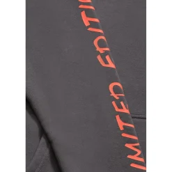 Sweat-Shirt capuche garçon NOEBO gris