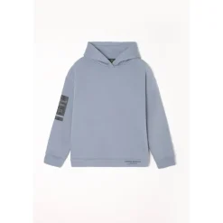 Sweat-Shirt capuche garçon RUINOBO gris Sal en coton