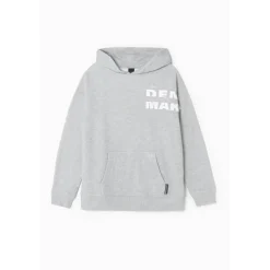 Sweat-Shirt capuche garçon ELROSBO gris en coton