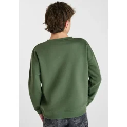 Sweat-Shirt PIPOBO vert en coton Zed