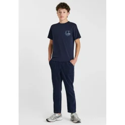 Tee-Shirt FEDEBO bleu Walt