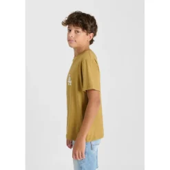 Tee-Shirt garcon LOMBO marron en coton Leo