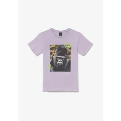 Tee-shirt garçon ISLABO rouge en coton