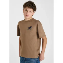 Tee-Shirt marron Luke en coton