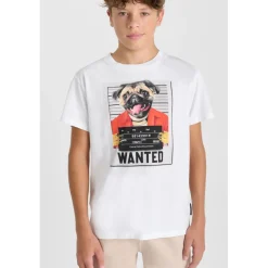Tee-Shirt RENAUDBO blanc Zane
