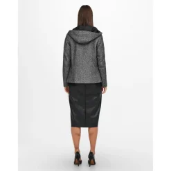 Veste Capuche Manches longues gris Aria